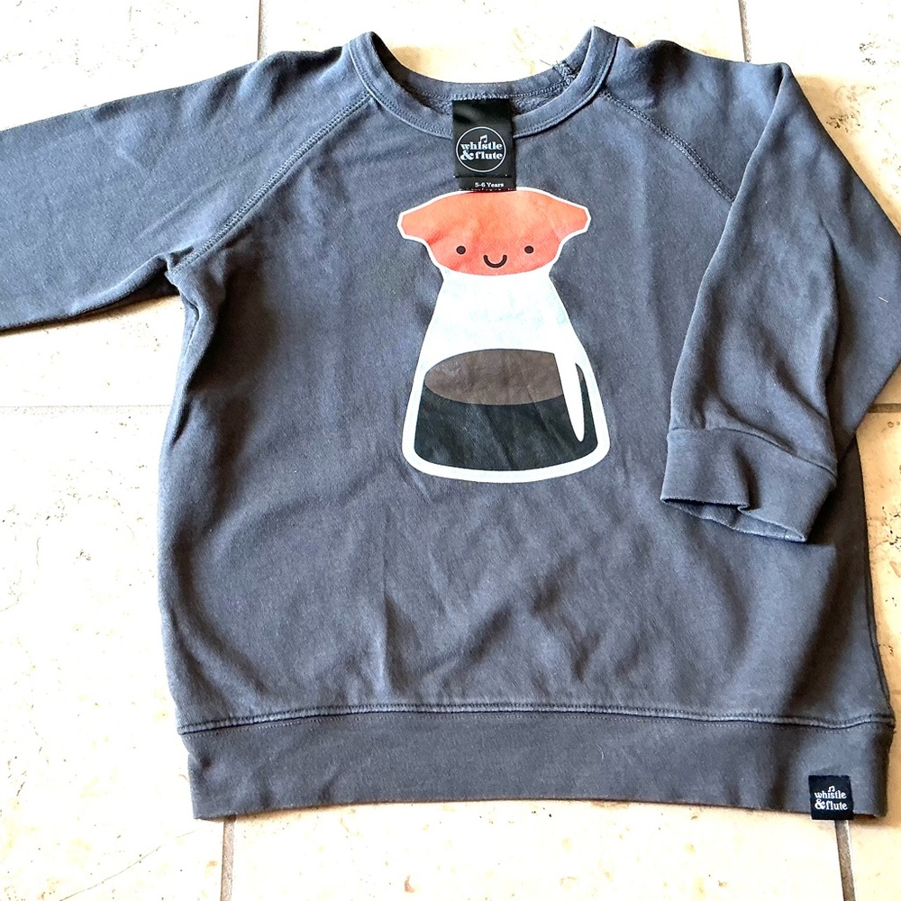Whistle &Flute Gray Kids Light Sweat Shirt with Cute Graphic size 5/6 Toddler